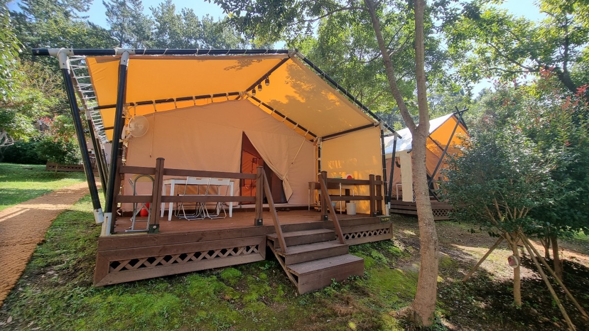 장흥 하늘빛수목원 튤립축제