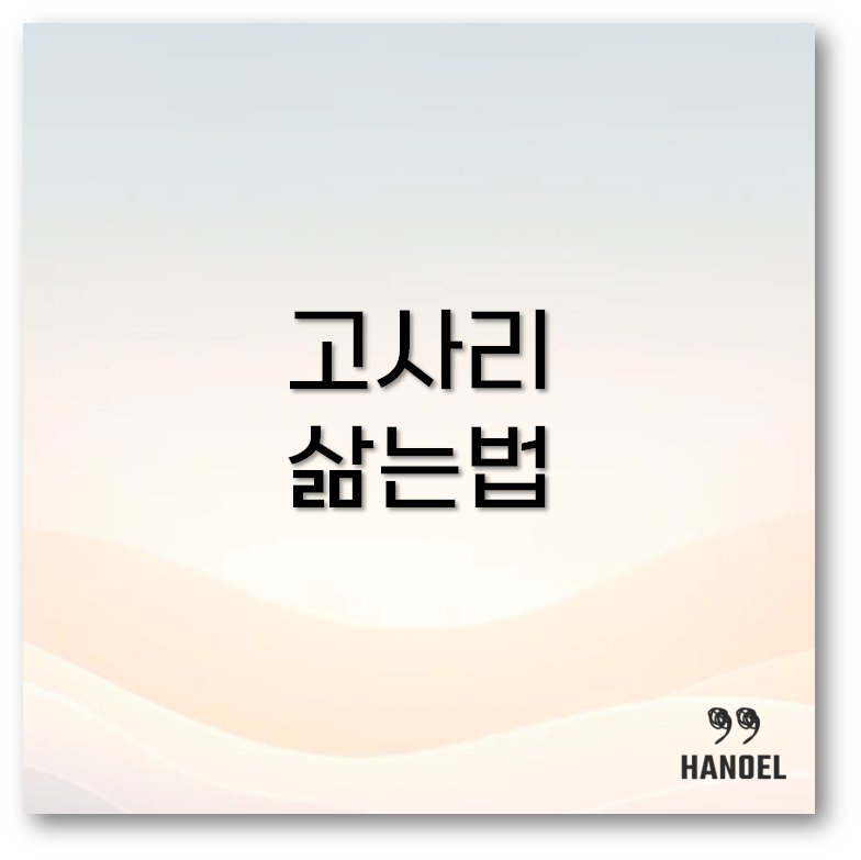 고사리 삶는법