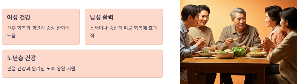 주요 효능 및 효과