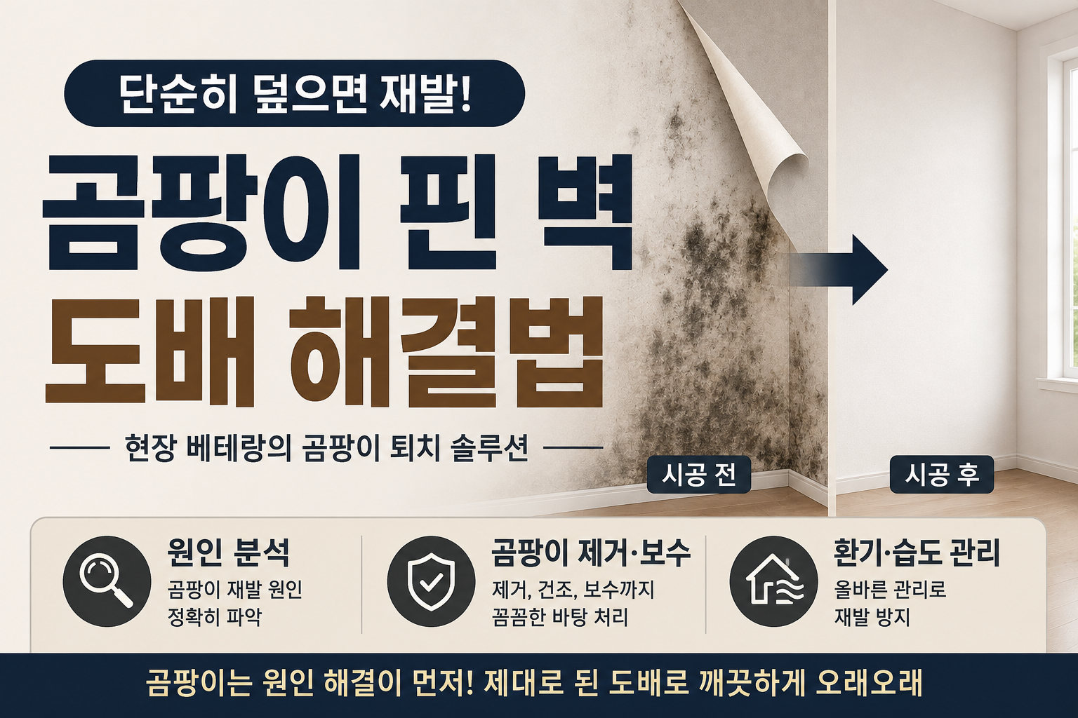 곰팡이 핀 벽 도배법: 단순히 덮으면 재발! 현장 베테랑의 곰팡이 퇴치 솔루션