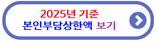 2025년 기준 본인부담상한액&nbsp;보기