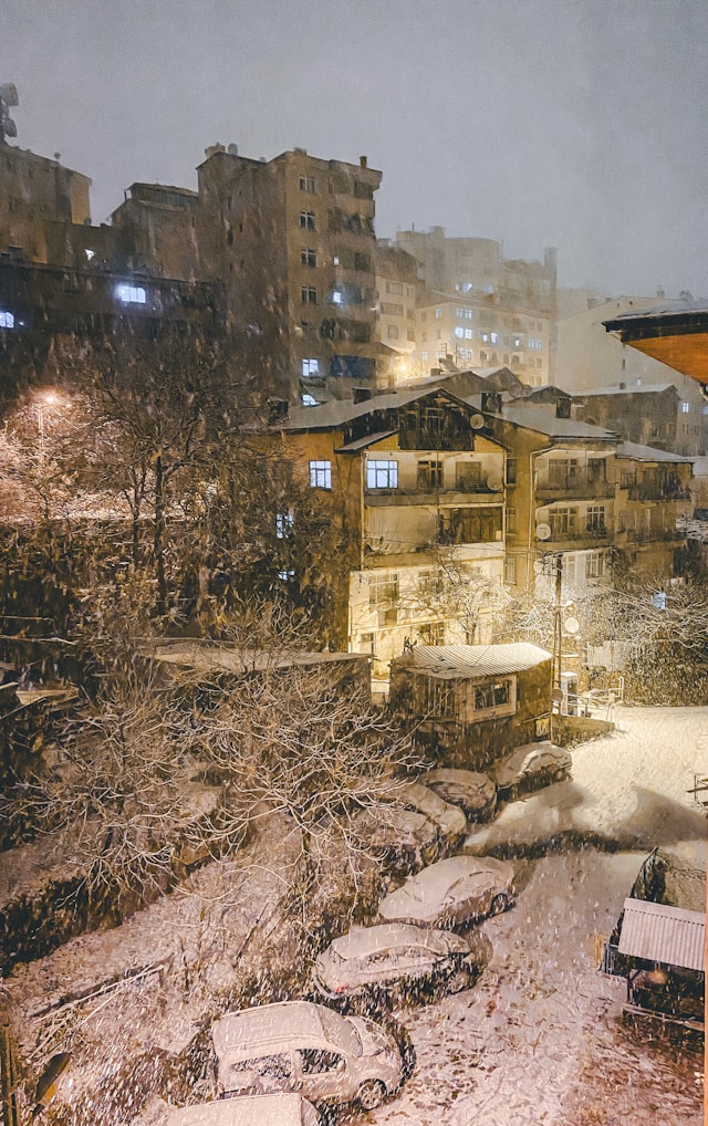 대설특보 버스 운행 중단 노선 실시간 조회 총정리