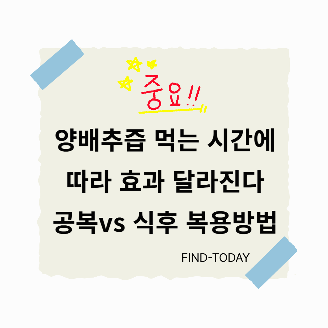 양배추즙 먹는시간에 따라 효과 달라진다 - 공복 vs 식후 복용 방법