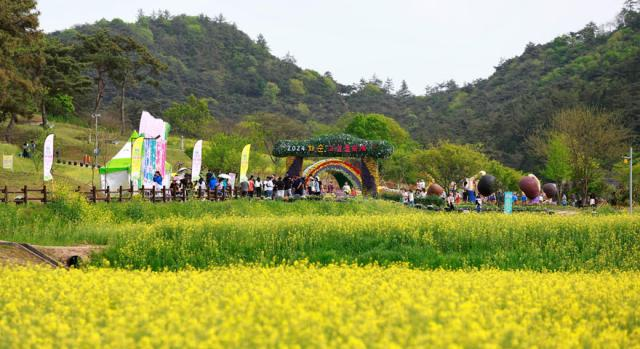 2025 화순 봄꽃 축제