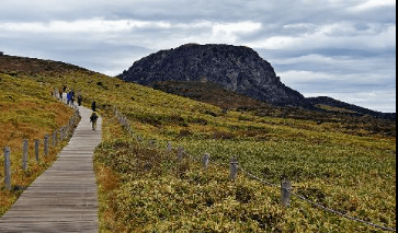 제주도 가볼만한 곳 추천