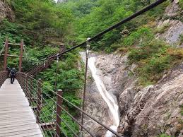 국립공원 예약통합시스템 바로가기