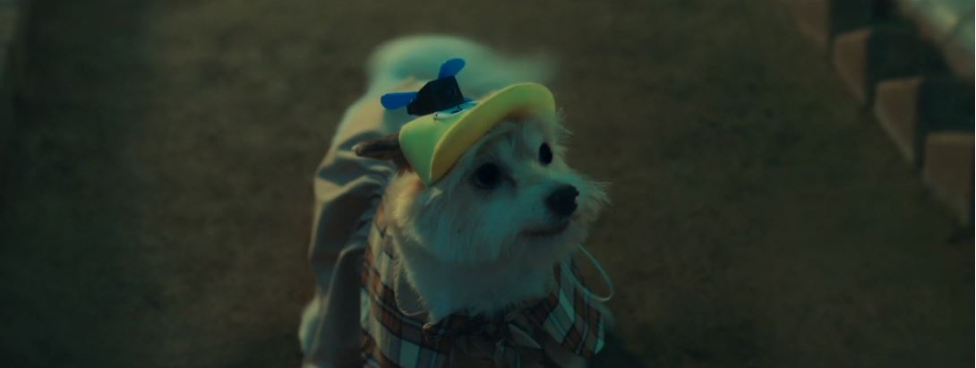 오늘도사랑스럽개_5회