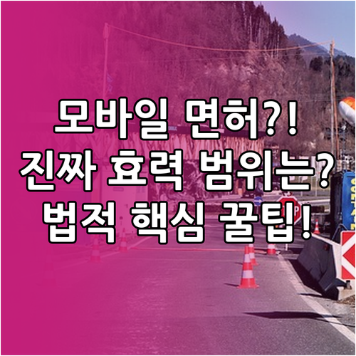 모바일 운전면허증은 실물과 동일한 효..