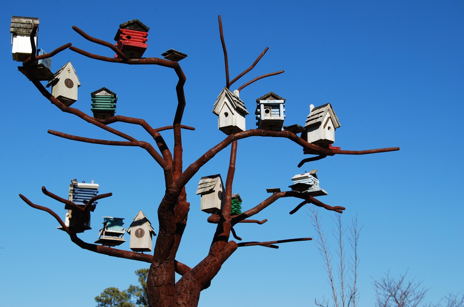 나무 예술 작품 사진