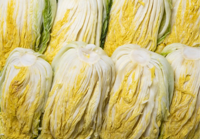 김장 재료 저렴하게 구입하는 방법