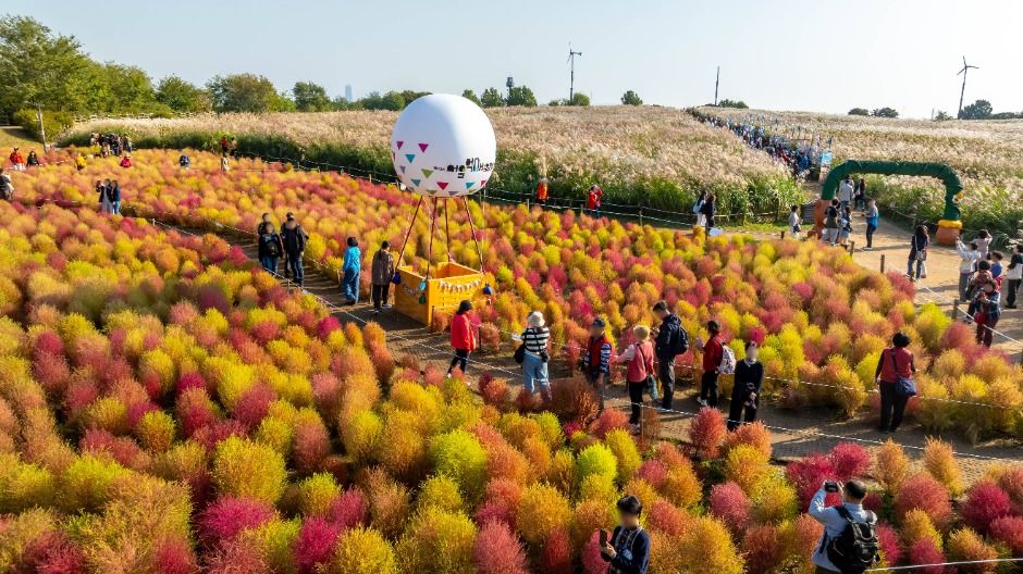 서울 억세축제 2025&amp;#44; 하늘공원에서 만나는 가을축제