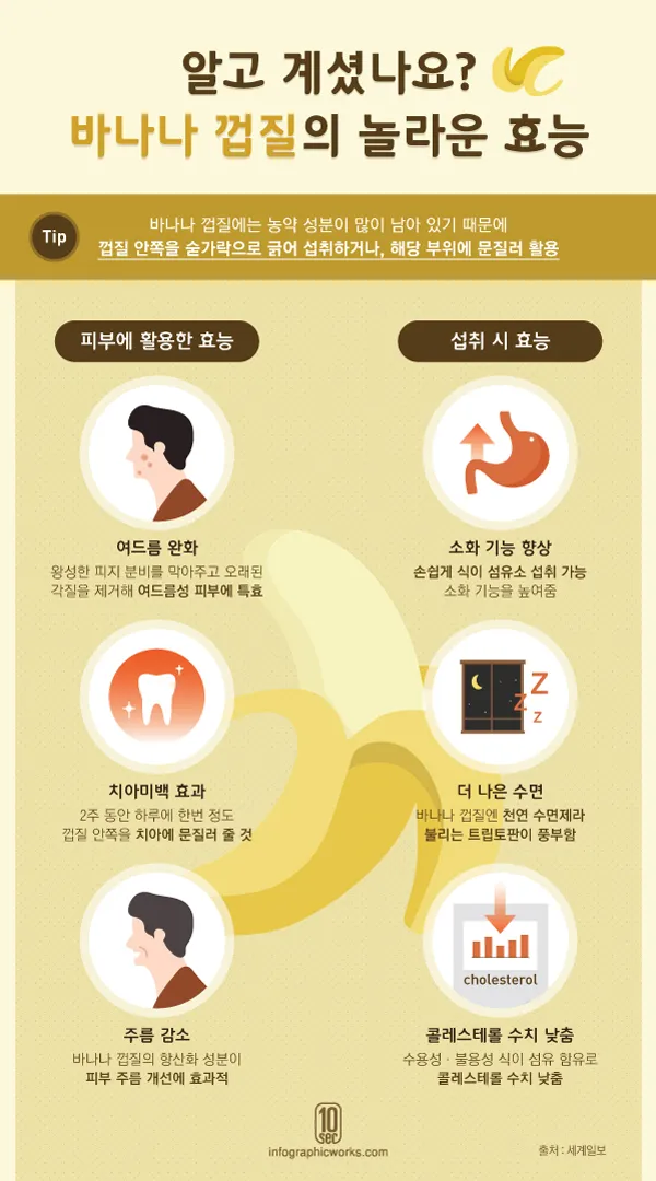 바나나 효능 식이섬유 포만감 운동 전후 효과_4