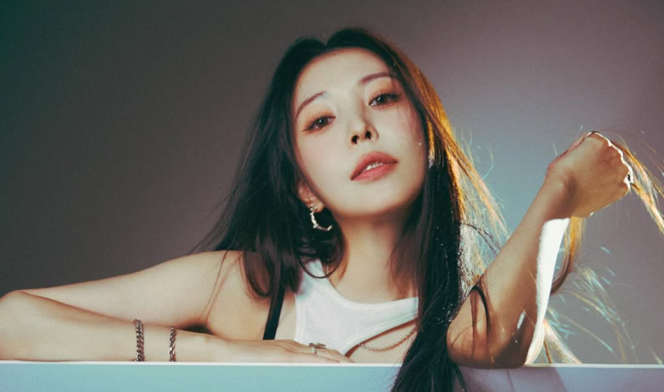 보아 일본 진출 아시아의 별