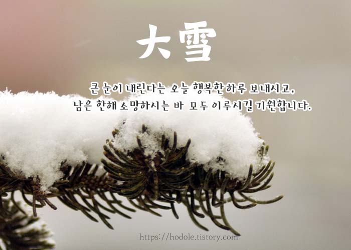 대설이미지