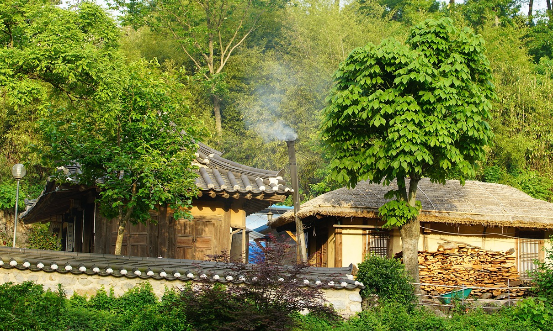 디지털 시대의 콘텐츠 문화, 세대와 기술이 만든 새로운 일상