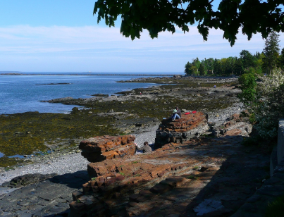 에디아카라 생물군