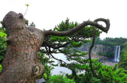 제주도 정방폭포