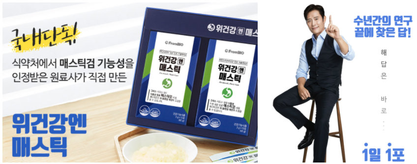 메스틱-모델