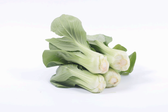 청경채 사진