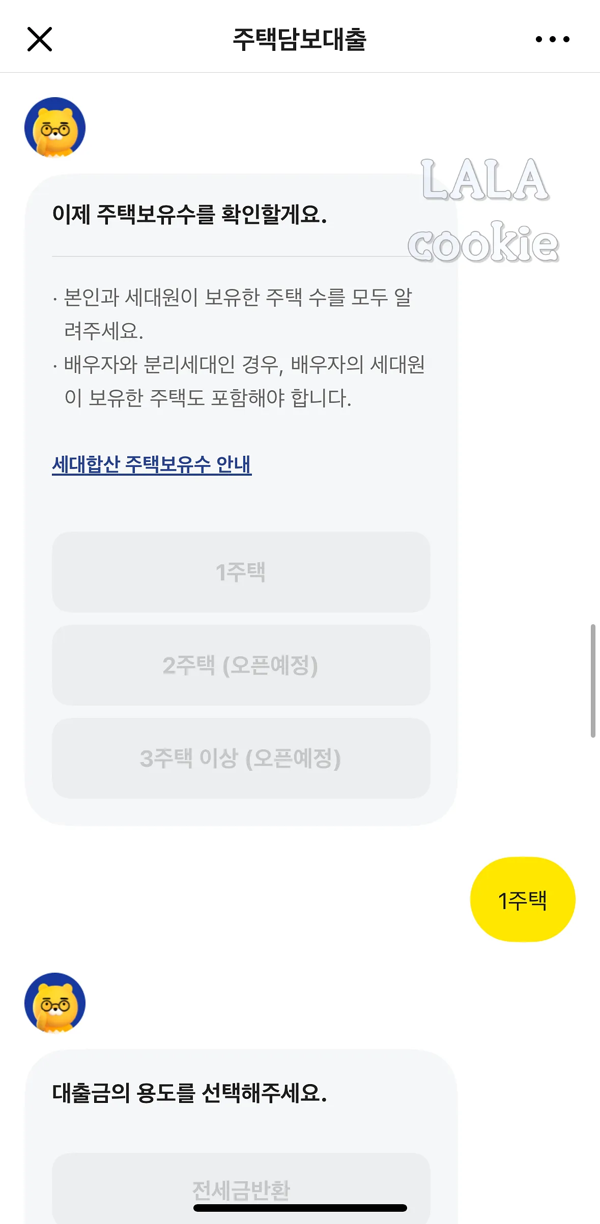 카카오뱅크-주택담보대출-주택보유수