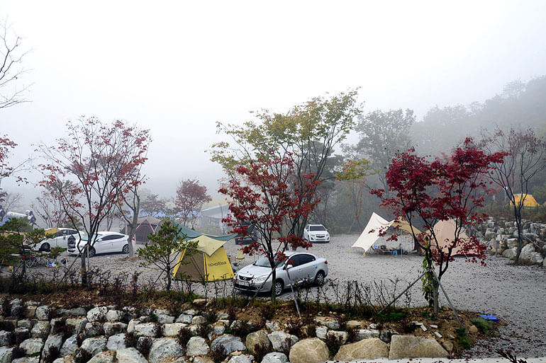 서울 근교 단풍 캠핑 명소 총정리 : 숲속 감성 100% 캠핑장 BEST 5_용인 단풍숲캠핑장
