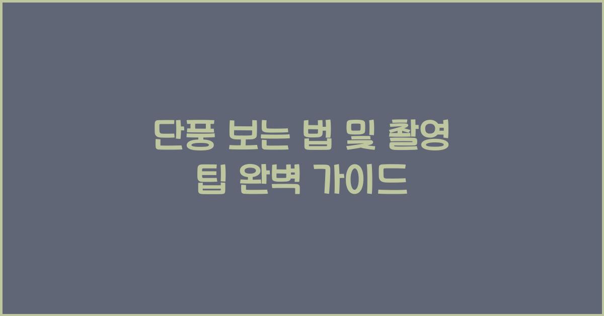 단풍 보는 법 및 촬영 팁