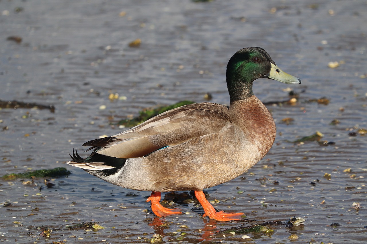 중도상환수수료 계산법
