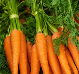 비타민A 복용시간 풍부한 식품