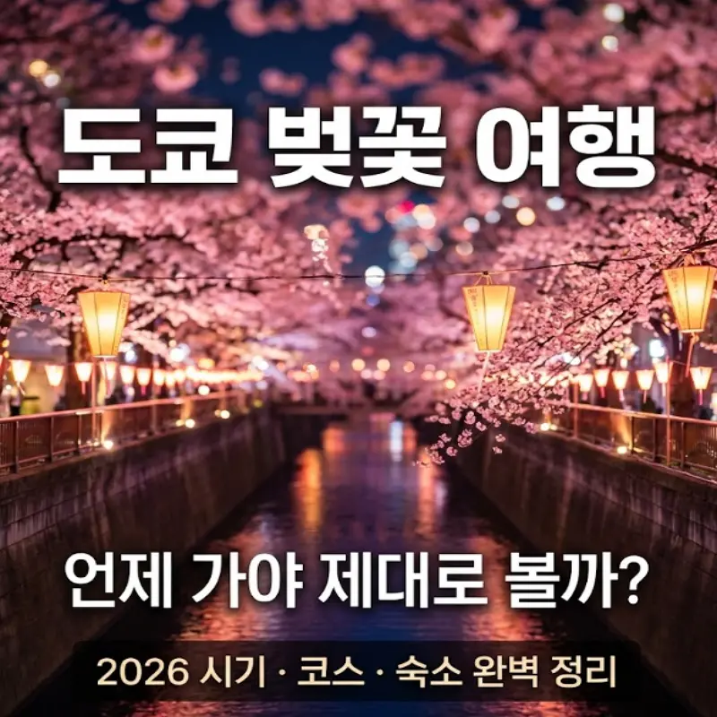 도쿄 벚꽃 2026 메구로강 야간 라이트업