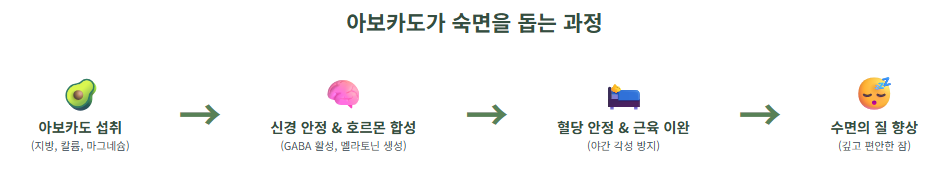 불면증 탈출! 아보카도 수면의 질을 높이는 비결, 효능, 레시피 정보!
