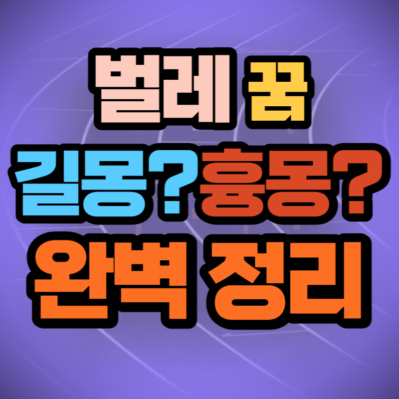 벌레 꿈 해몽 (1)