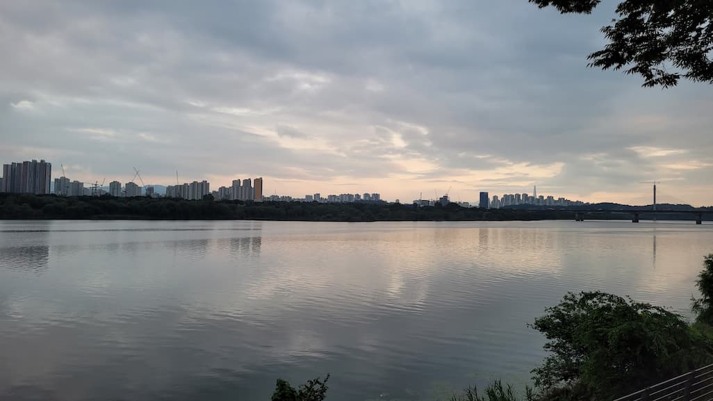 구리 한강시민공원 야경 유채꽃 축제 마무리 산책 풍경