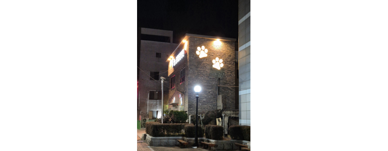 진주시 동물병원