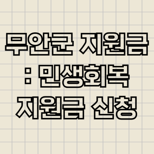 무안군_지원금