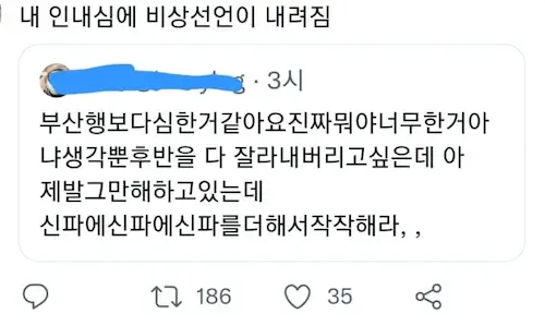 영화 비상선언 후기