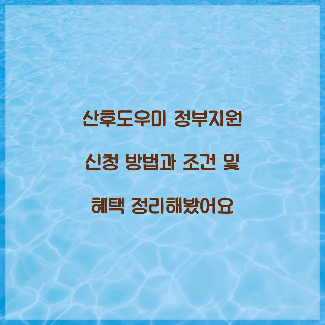 산후도우미 정부지원
