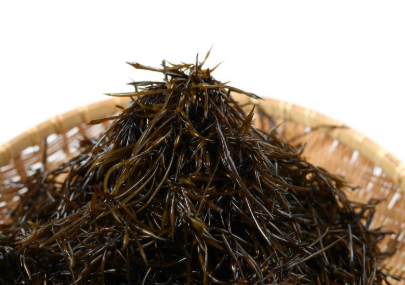 남해안의 바다향, ‘톳과 모자반’