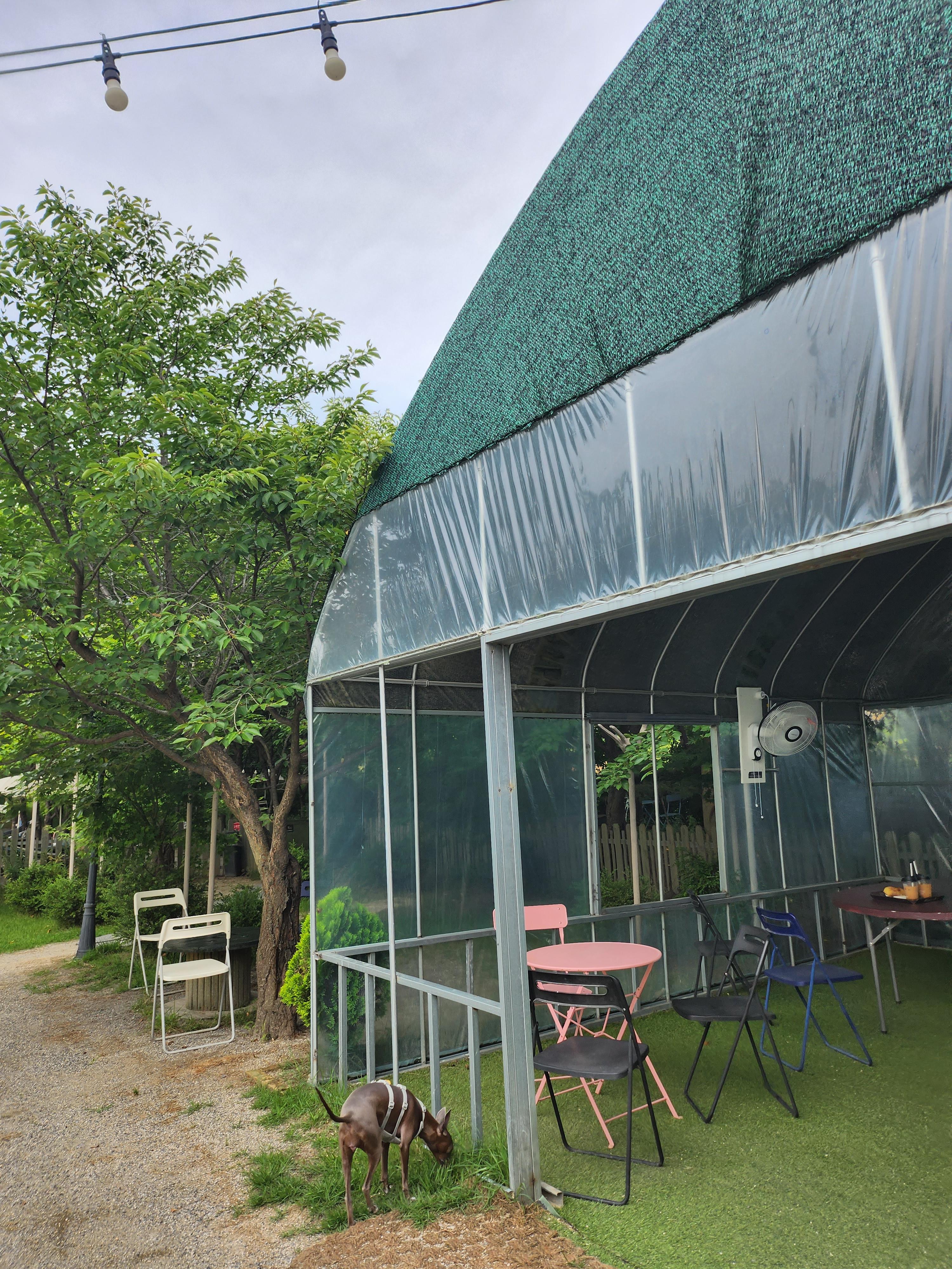 파주애견동반카페