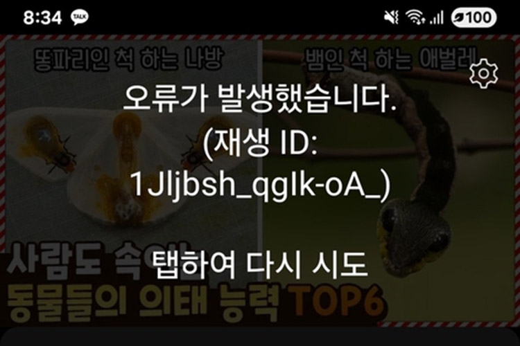 출근길 '50분 먹통': 유튜브 재생 오류 발생...이용자 대규모 불편 겪어