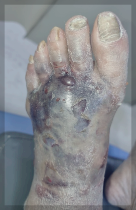 구획 방치 모습