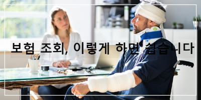 보험 조회