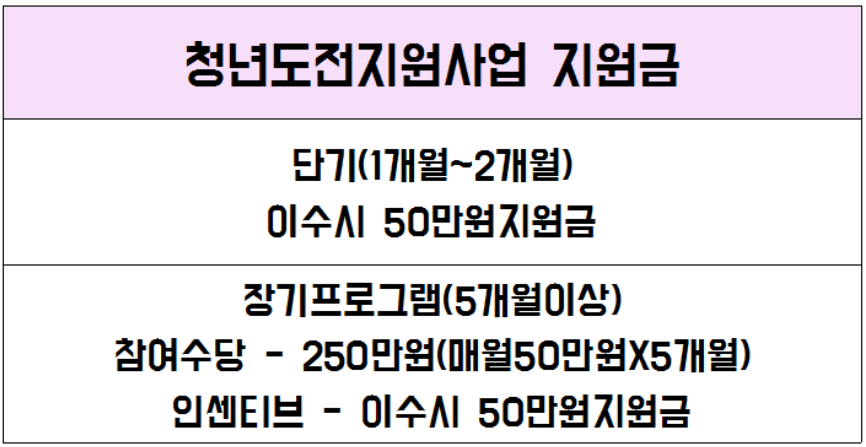 청년도전지원사업