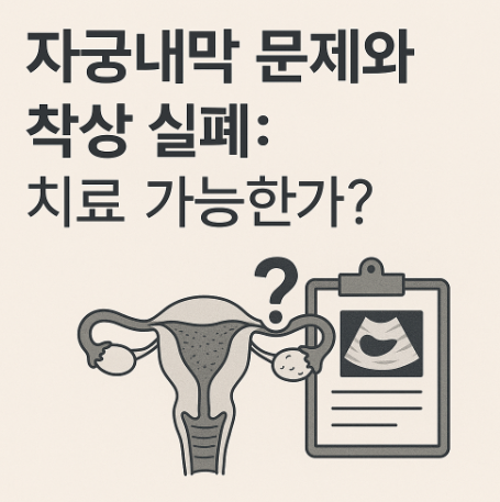 자궁내막 문제와 착상 실패