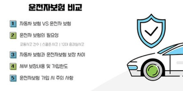 운전자보험 비교사이트