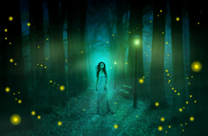 2025년 화담숲 반딧불이 이벤트