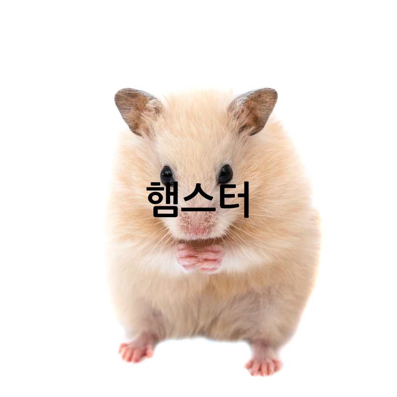 특수동물동물병원