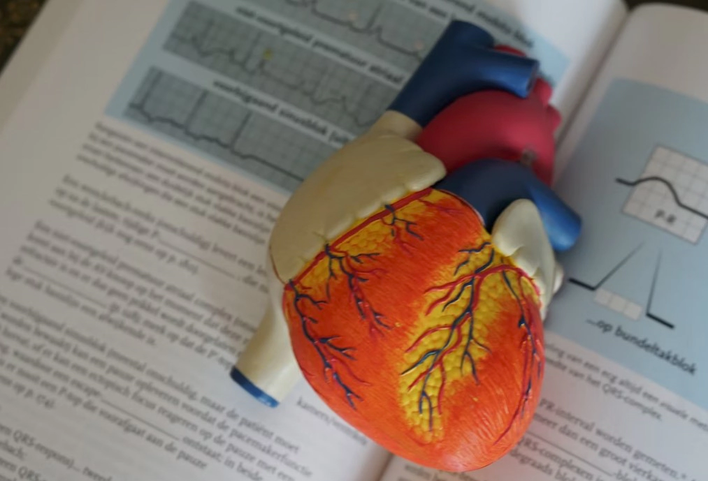 혈압정상수치 성인 공복