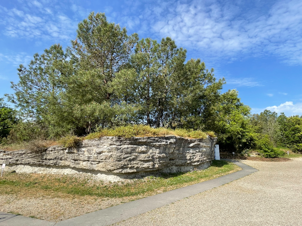 보르도 식물원 - 1.젖은 초원 3