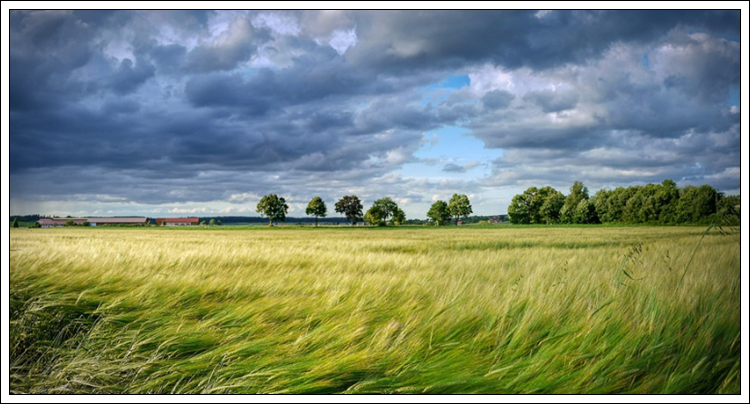 바람에 관련된 꿈 해몽 이야기