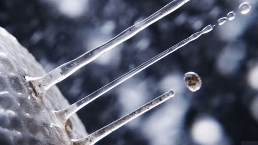 BESPOKE 그랑데 AI 원바디 기능